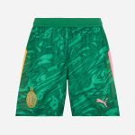 milan goalkeeper third 202526 shorts – 16 mike maignan Collection – Official AC Milan Kits Collection - Official AC Milan Kits