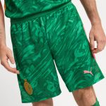 milan goalkeeper third 202526 shorts – 16 mike maignan Collection – Official AC Milan Kits Collection - Official AC Milan Kits